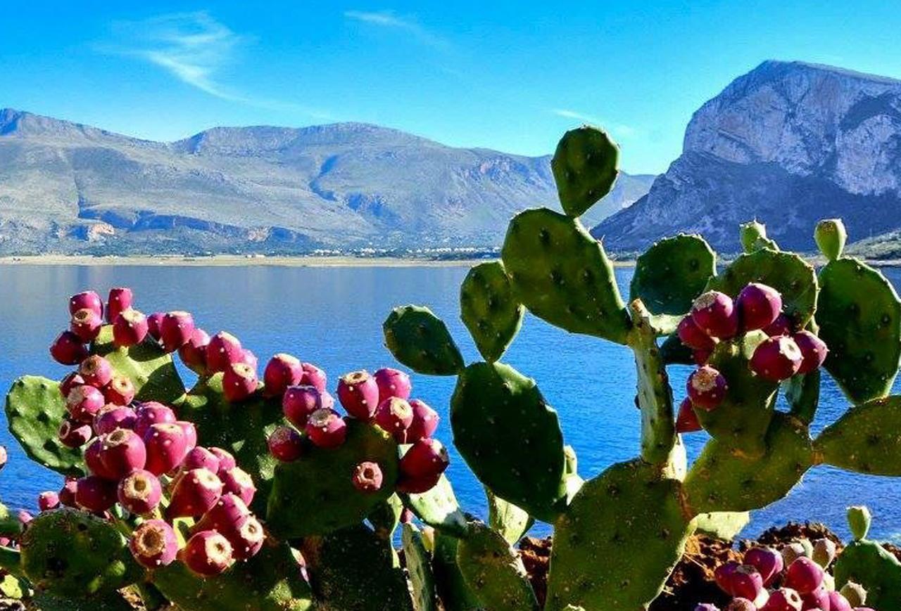 Bed And Breakfast Sapore Di Sale Trapani Luaran gambar